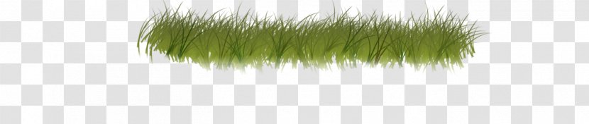 Hair Coloring Green Grasses Family Transparent PNG