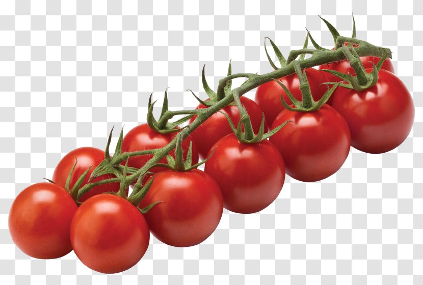 Cherry Tomato Vegetable Beefsteak Fruit - Sweetness - Tomatoes Transparent PNG