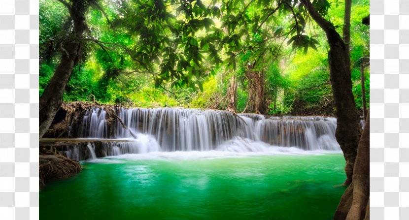 Landscape Waterfall Spring Mural - Nature Reserve - Water Transparent PNG