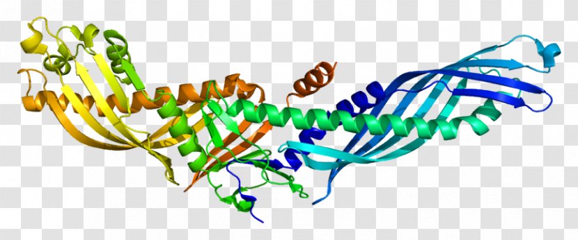 Cholesterylester Transfer Protein CETP Inhibitor Cholesteryl Ester High-density Lipoprotein Plant Lipid Proteins - Flower - Tree Transparent PNG