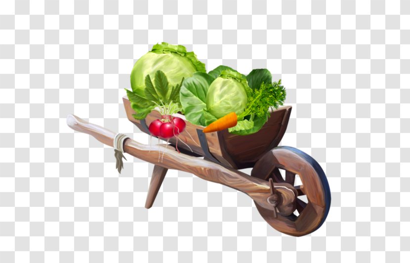 Drawing Clip Art - Vegetable - A Car Transparent PNG