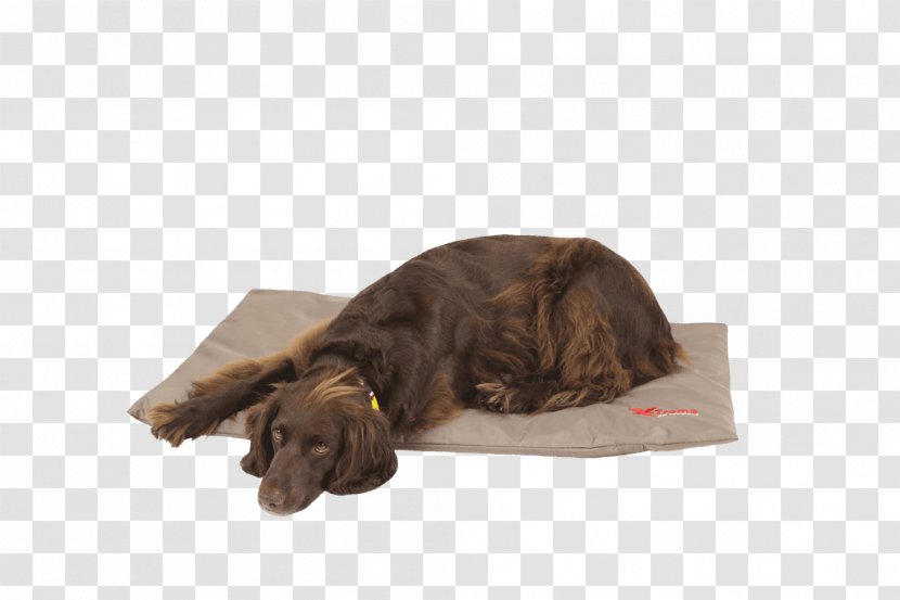 Boykin Spaniel Puppy Dog Breed Bed Duvet - Foam Food Container Transparent PNG