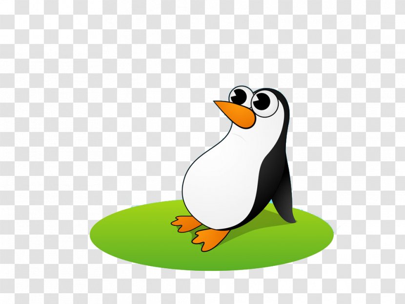 King Penguin Antarctica Bird Cartoon - Creative Transparent PNG
