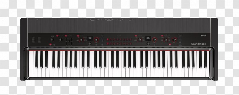 Nord Stage Piano Digital Electronic Keyboard - Cartoon Transparent PNG