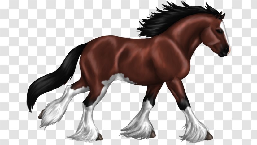 Foal Stallion Clydesdale Horse Mustang Colt Transparent PNG