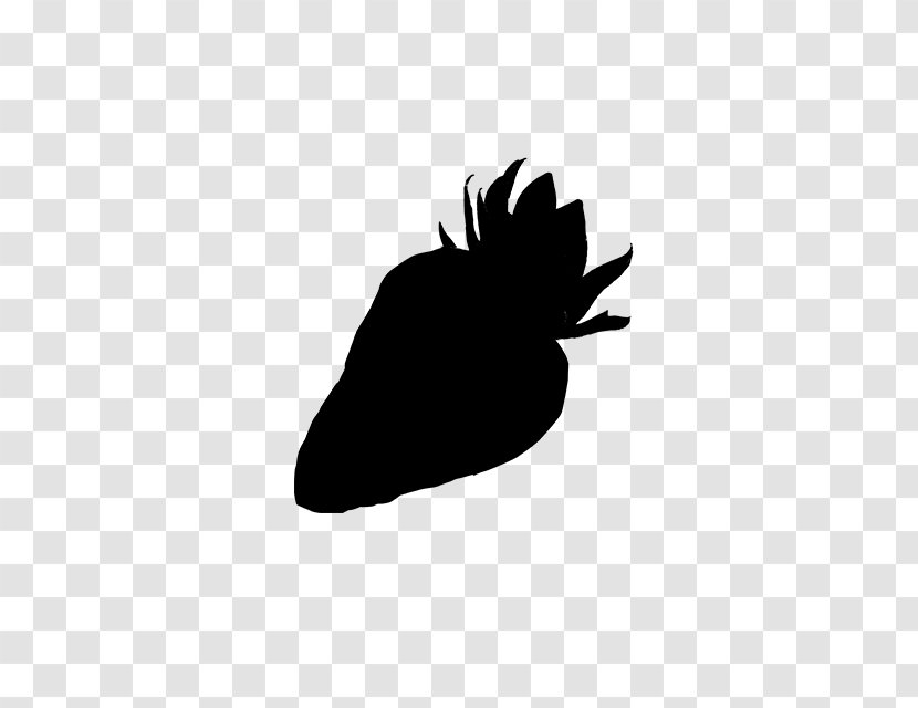 Clip Art Silhouette Beak - Feather - Logo Transparent PNG