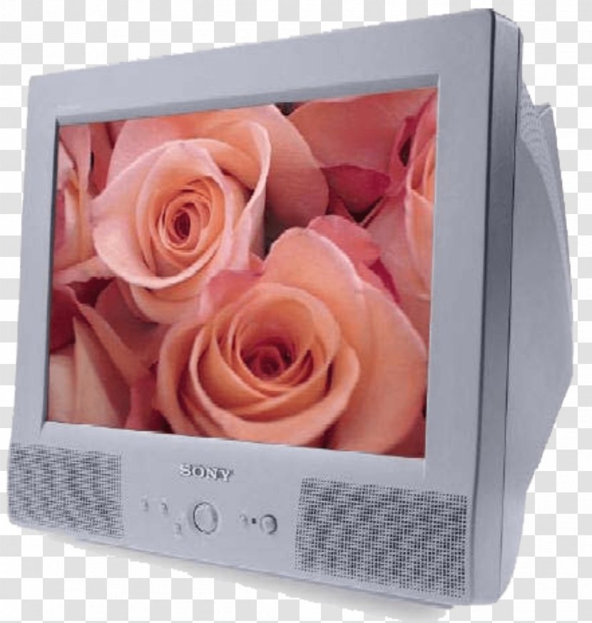 Big Apple Computers Properties Garden Roses - Computer Monitors Transparent PNG