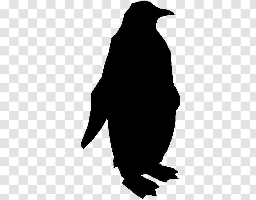 Penguin Clip Art Fauna Silhouette Beak - Crow - Bird Transparent PNG