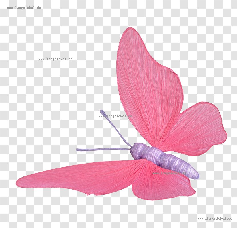 Butterflies And Moths Insect Animal Paper Yellow - Easter Transparent PNG