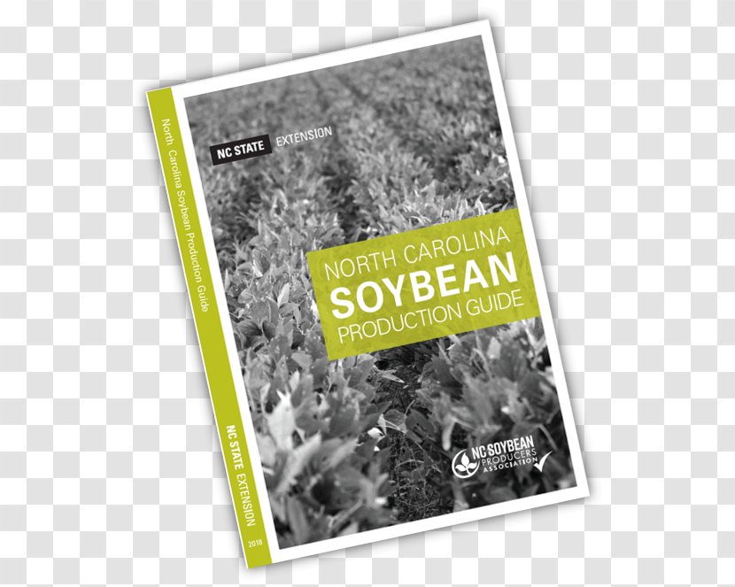 Guide The North Carolina Soybean Producers Association Crop State Ports Authority - Television Show - Growing Soybeans Transparent PNG