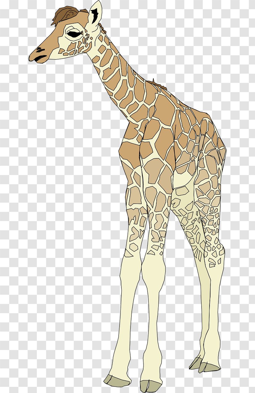 Giraffe Clip Art - Pixabay - Strong Deer Transparent PNG