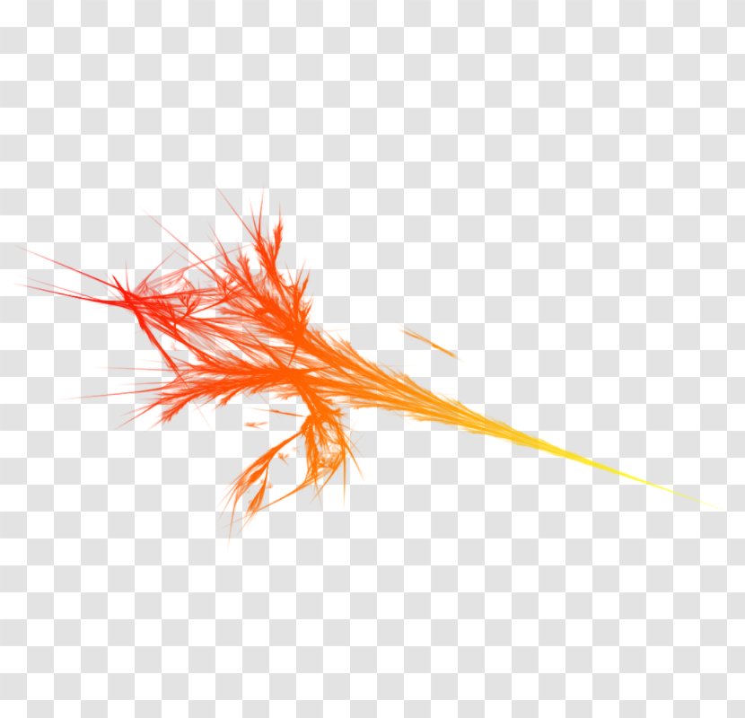 Quill Grass Family Orange - Feather - Brush Transparent PNG