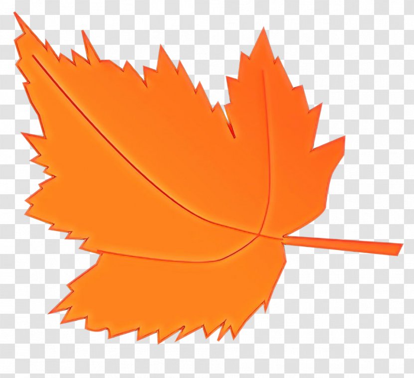 Maple Leaf - Plane - Deciduous Transparent PNG