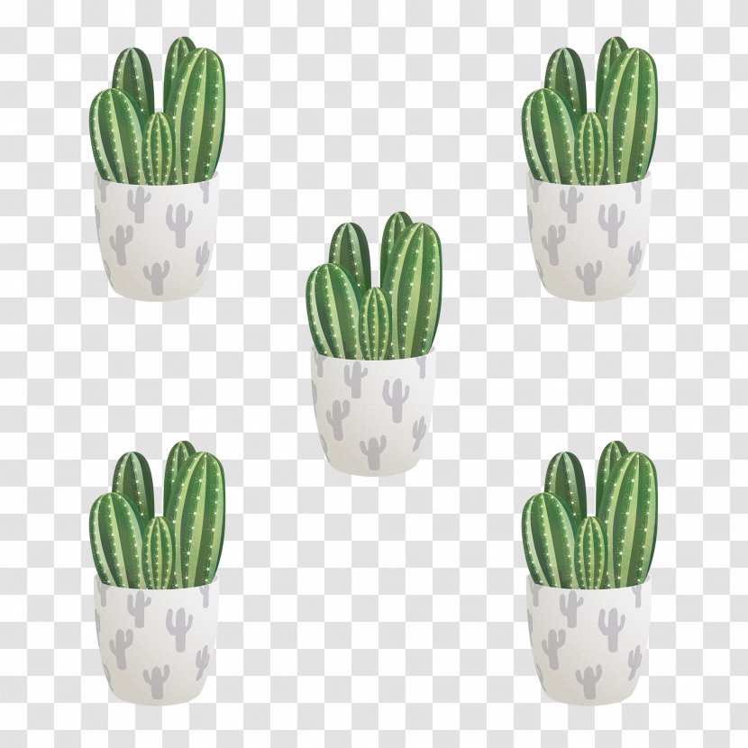 Cactus Cartoon - Succulent Plant - Hedgehog Houseplant Transparent PNG
