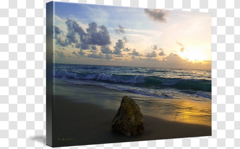 Shore Seascape Painting Ocean - Headland - Tropical Beach Transparent PNG