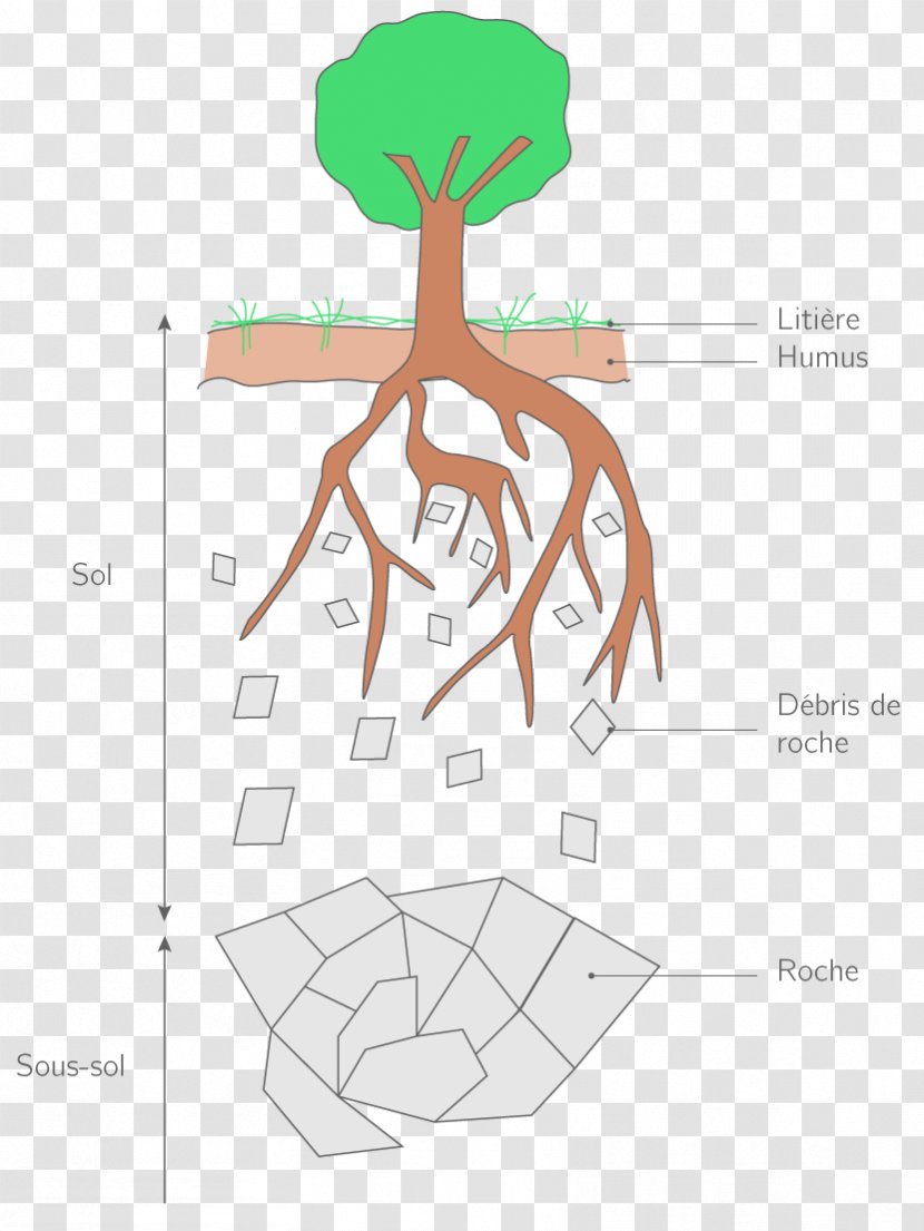 Transformació De La Matèria Soil Organic Matter Life - Silhouette - Compost Transparent PNG