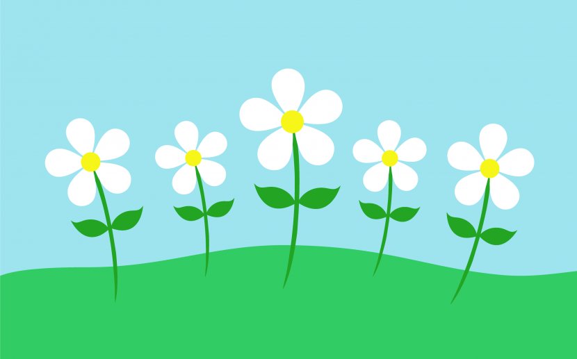 Common Daisy Flower Clip Art - Plant - Springtime Background Cliparts Transparent PNG