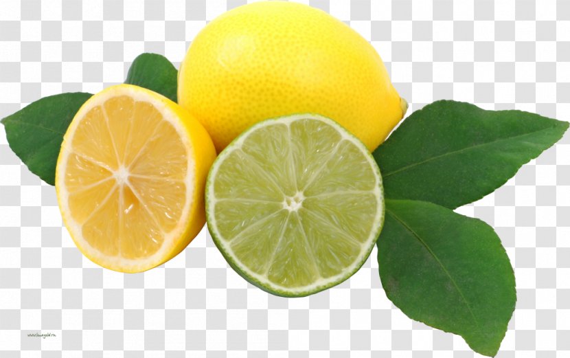 Lemonade Key Lime - Bitter Orange - Lemon Transparent PNG