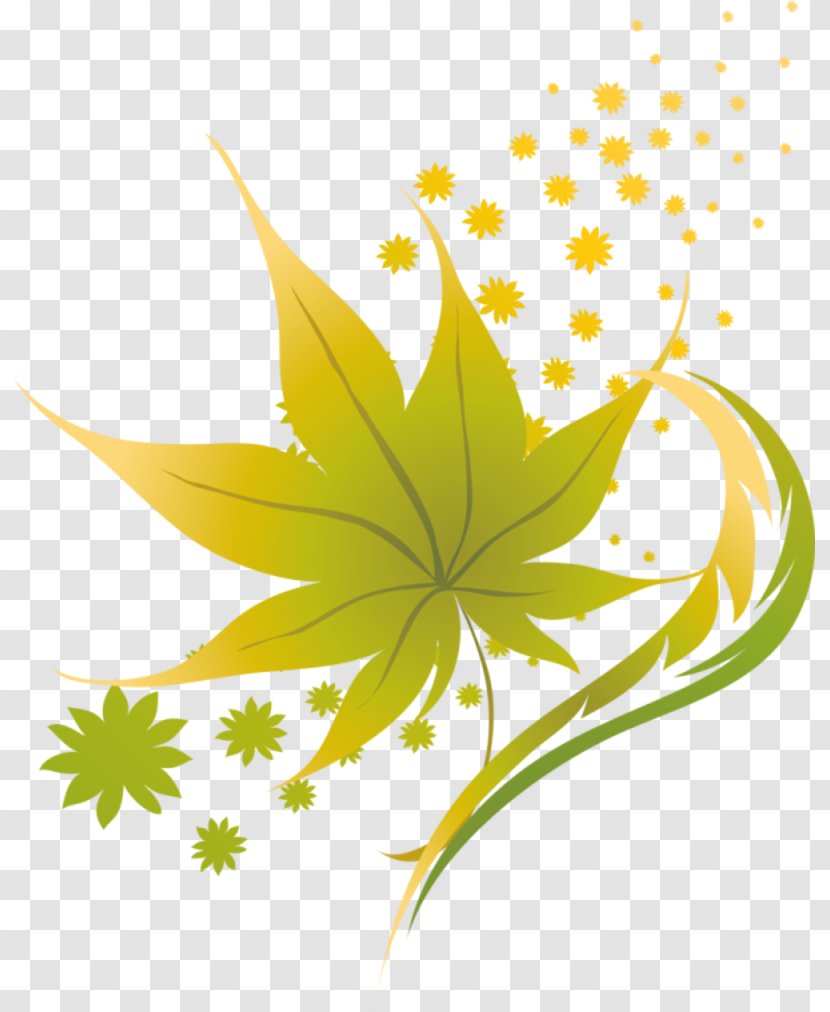 Maple Leaf Clip Art - Flowering Plant Transparent PNG