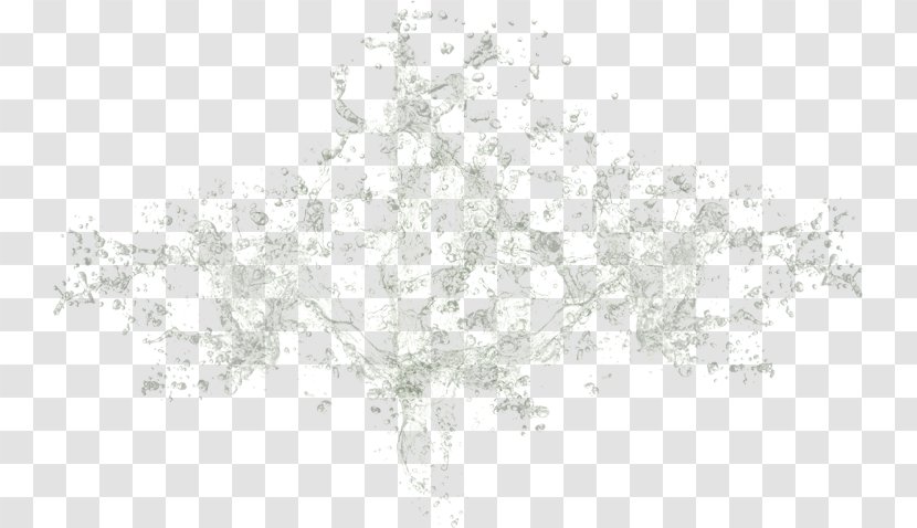 White - Branch - Splasch Transparent PNG
