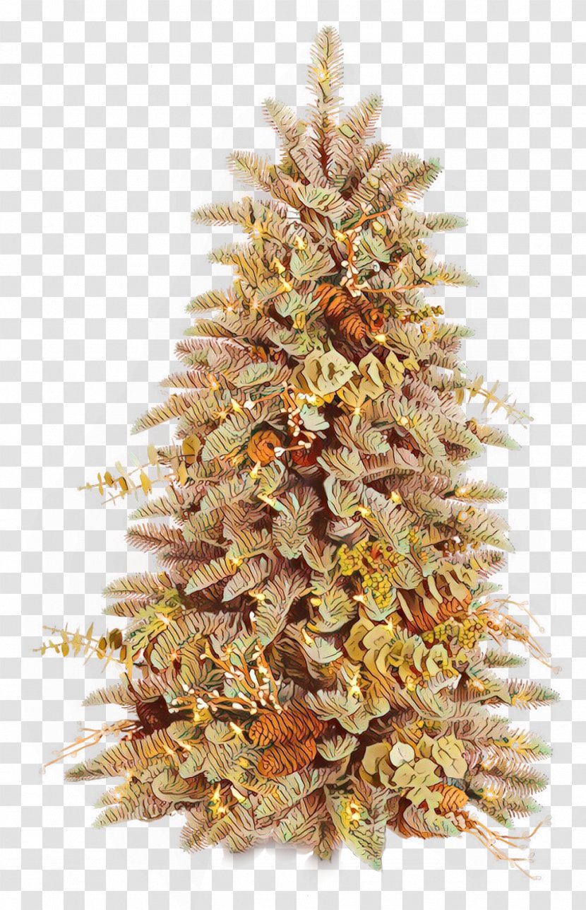 Christmas Tree - Plant - Pine Family Fir Transparent PNG