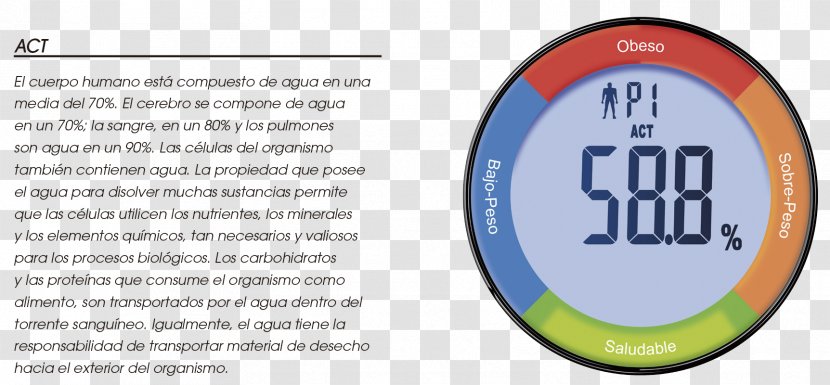 Body Water Hydration Reaction Percentage Transparent PNG