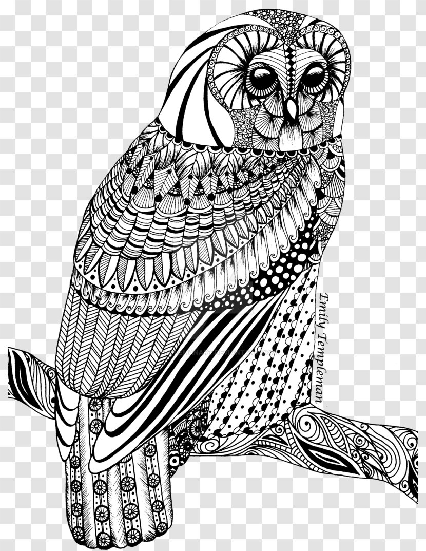 Tawny Owl Drawing Line Art - Organism - Pattern Transparent PNG
