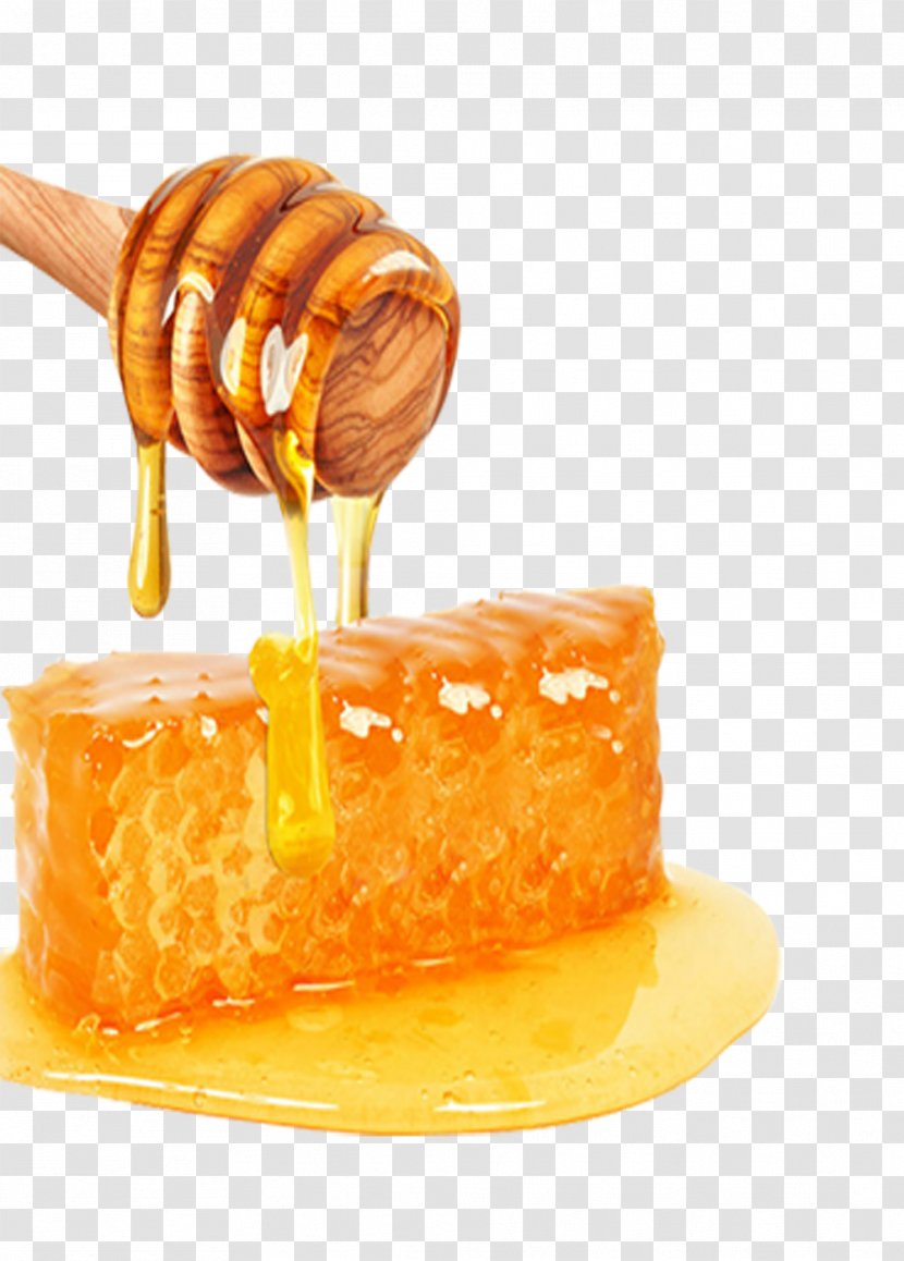 Honey Bee Yuja-cha Sweetness - Honeycomb - Sweet Transparent PNG