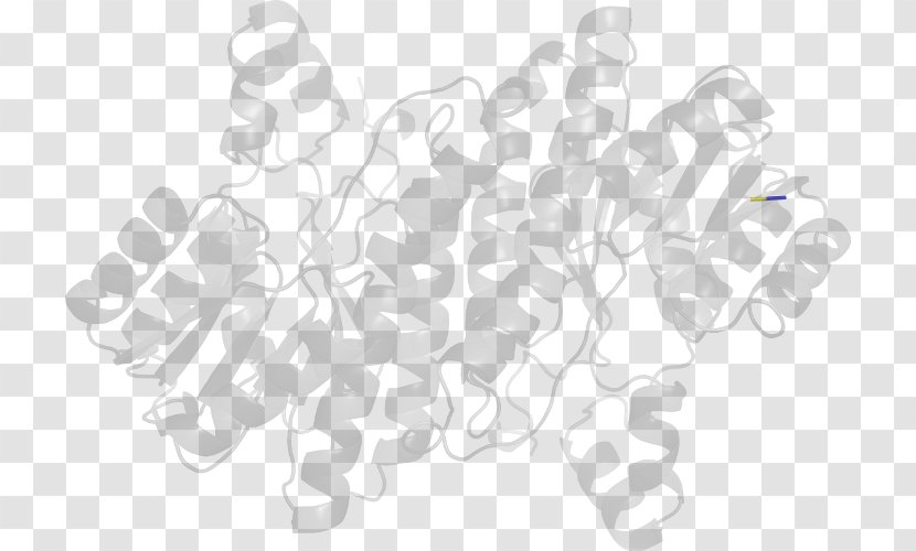 White Line - Hand Transparent PNG