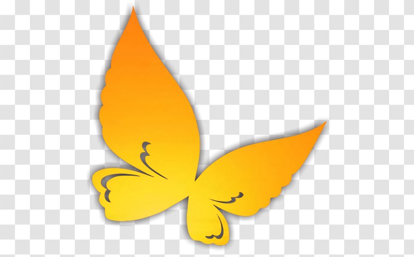 Orange House Jingga Studio Blog Google Account - Flower - Wing Transparent PNG