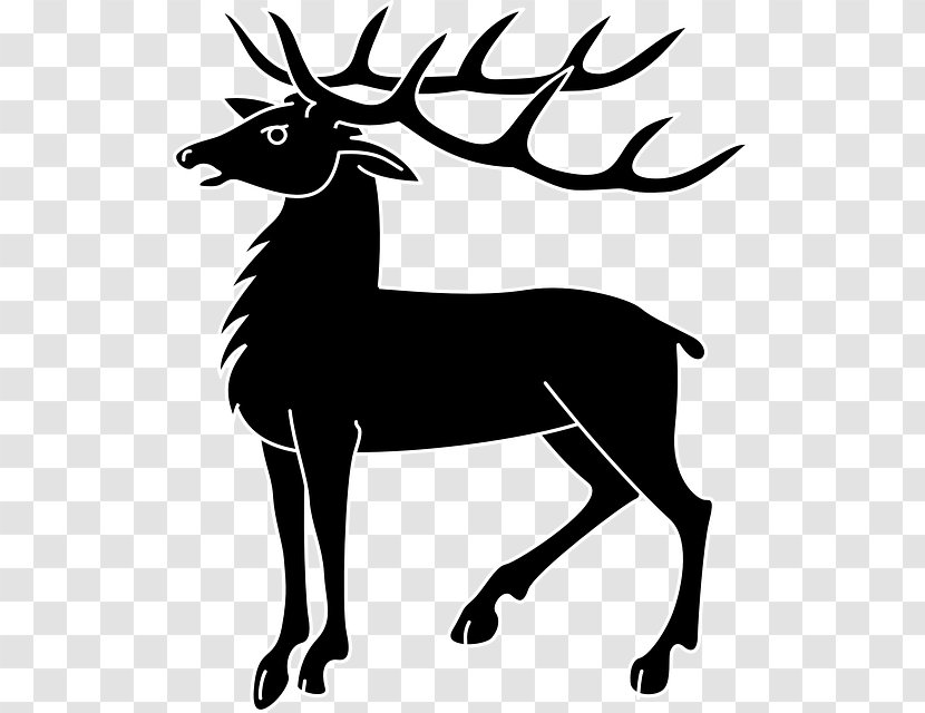 Red Deer Coat Of Arms Clip Art - Vertebrate - Horns Transparent PNG