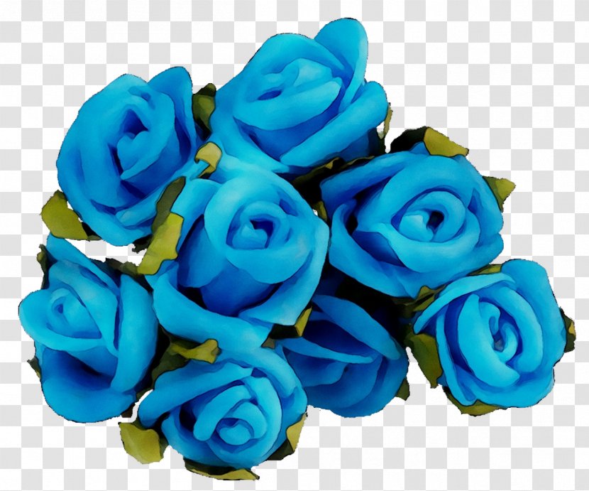 Garden Roses Blue Rose Cut Flowers Transparent PNG