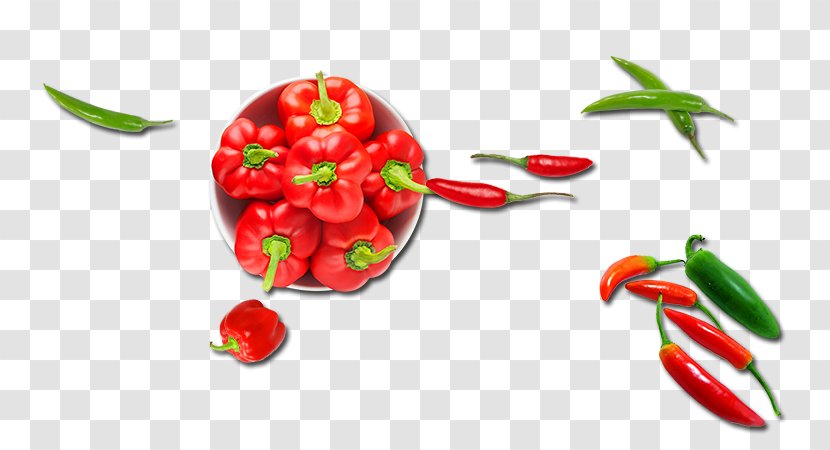 Chili Pepper Bell Cherry Tomato Vegetable Peperoncino - Food - Vegetables Transparent PNG