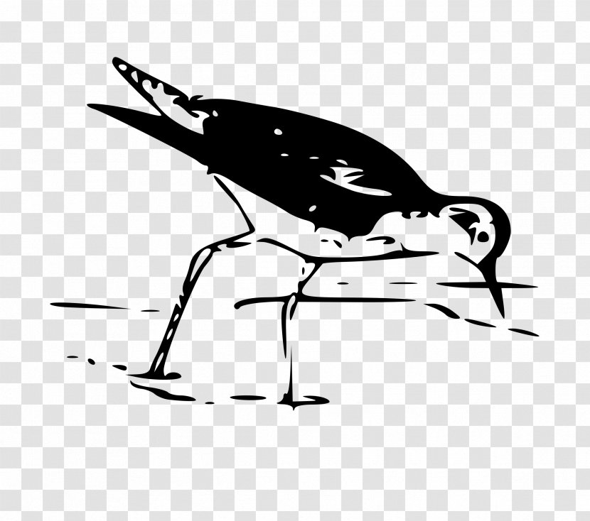 Bird European Herring Gull Wader Clip Art - Artwork - Flying Transparent PNG