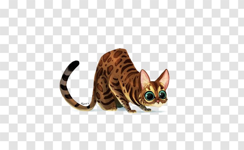 Bengal Cat Ocicat Sphynx Ragdoll Kitten - Like Mammal - Cartoon Transparent PNG