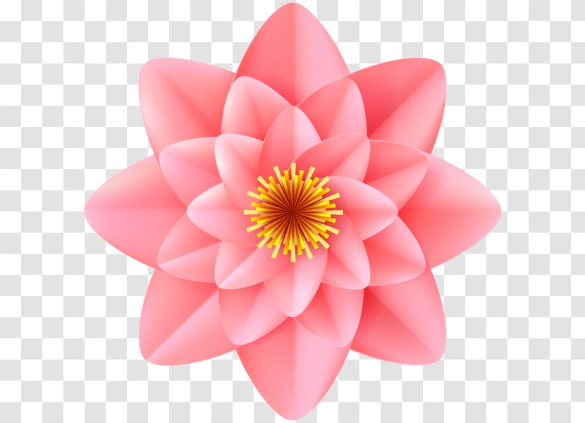 Flower Clip Art - Decorative Transparent PNG