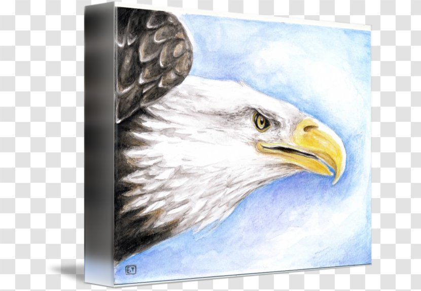 Bald Eagle IPhone 6S Beak Transparent PNG