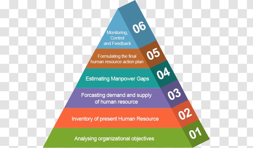 Strategic Human Resource Planning ManpowerGroup Organization Recruitment - Development Cycle Transparent PNG