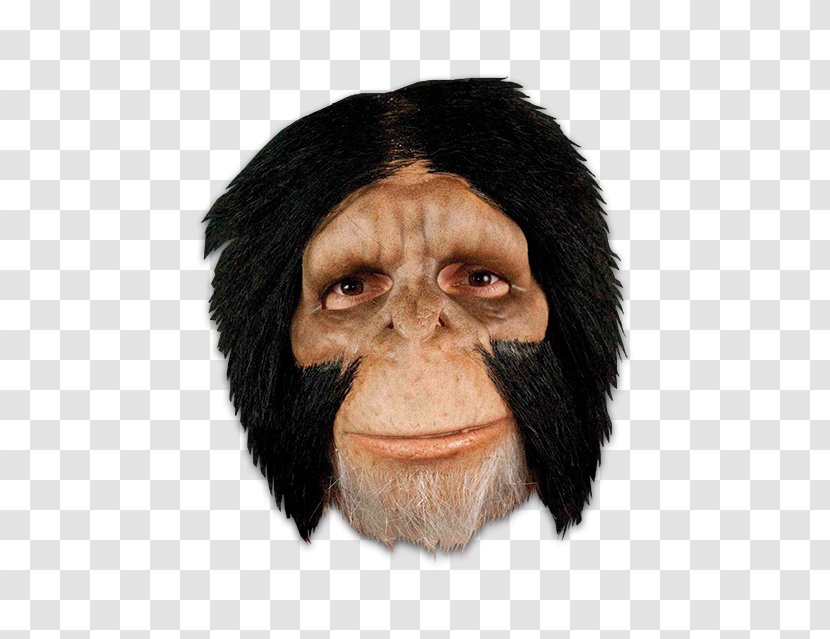 Common Chimpanzee Mask Costume Halloween Monkey - Carnival - Apes And Monkeys Transparent PNG