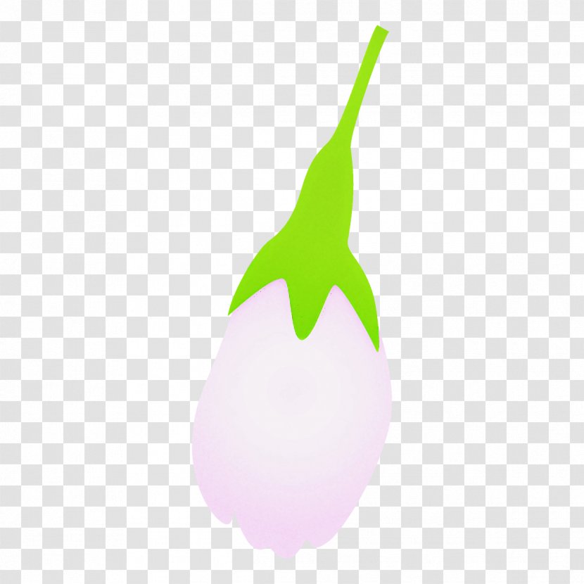 Green Eggplant Leaf Plant Tree - Pear - Logo Transparent PNG