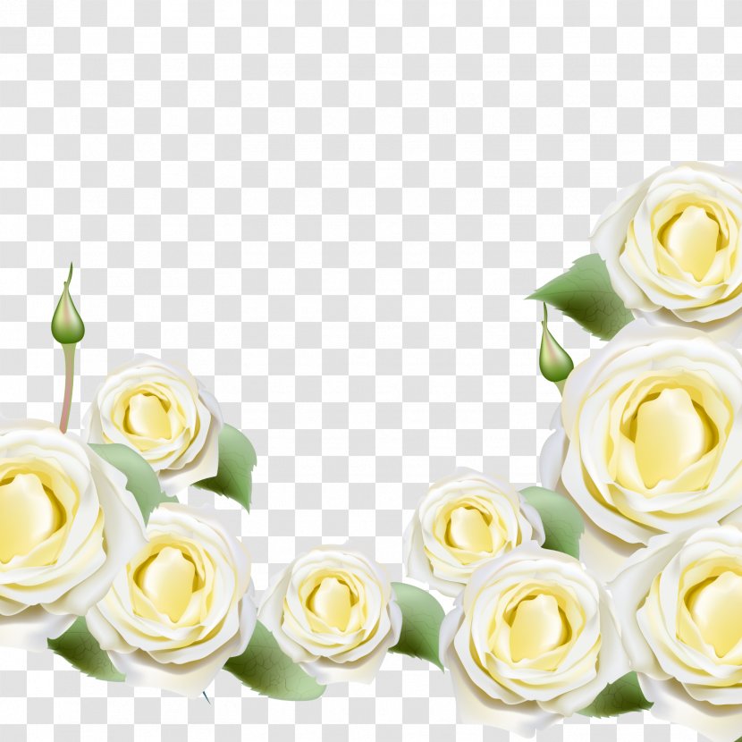 Beach Rose Rosa Glauca Flower Illustration - White - Vector Roses Transparent PNG
