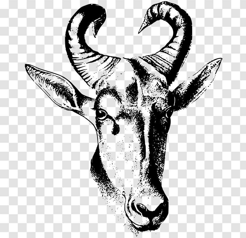 Cattle Drawing Antelope Clip Art - Public Domain - Horn Transparent PNG