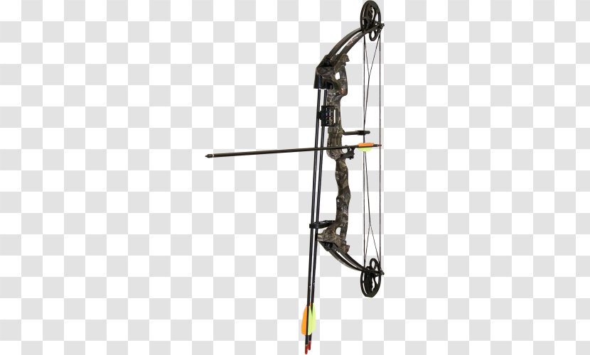 Bow And Arrow Compound Bows Archery Bowhunting Transparent PNG