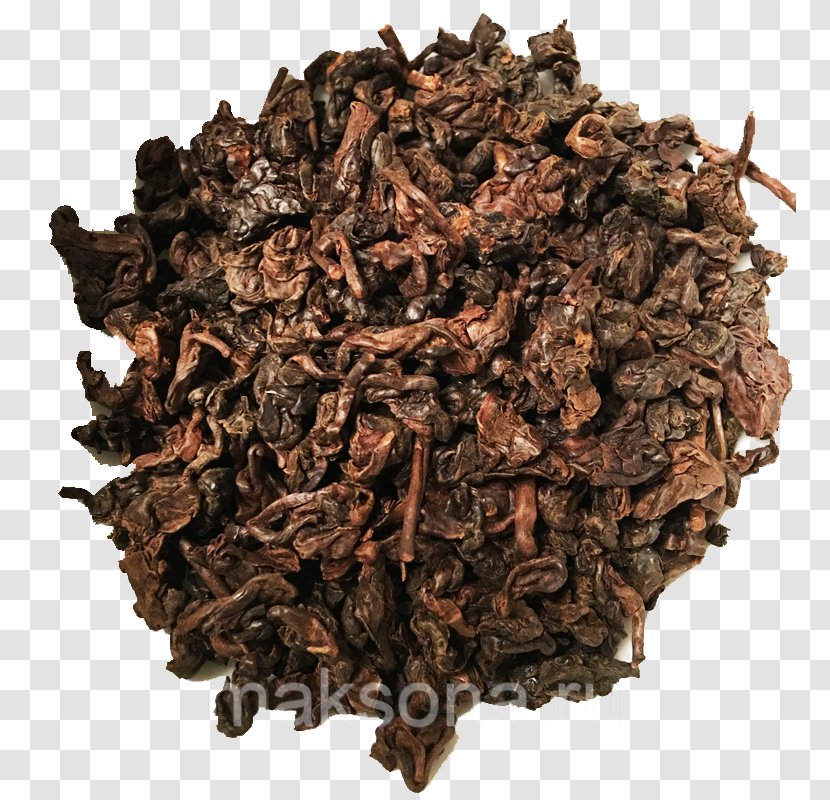 Nilgiri Tea Kombucha Pu'er Romeritos - Dianhong Transparent PNG
