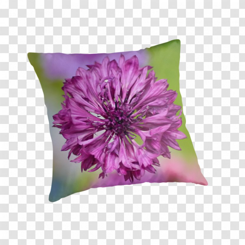 Throw Pillows Cushion Flowering Plant - Petal - Cornflower Transparent PNG