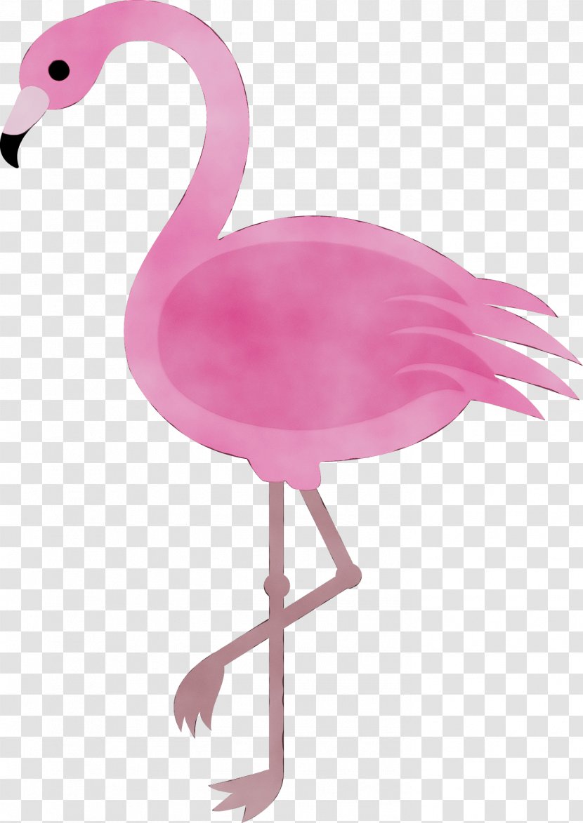 Cartoon Flamingo Clip Art Drawing Image - Vertebrate - Beak Transparent PNG