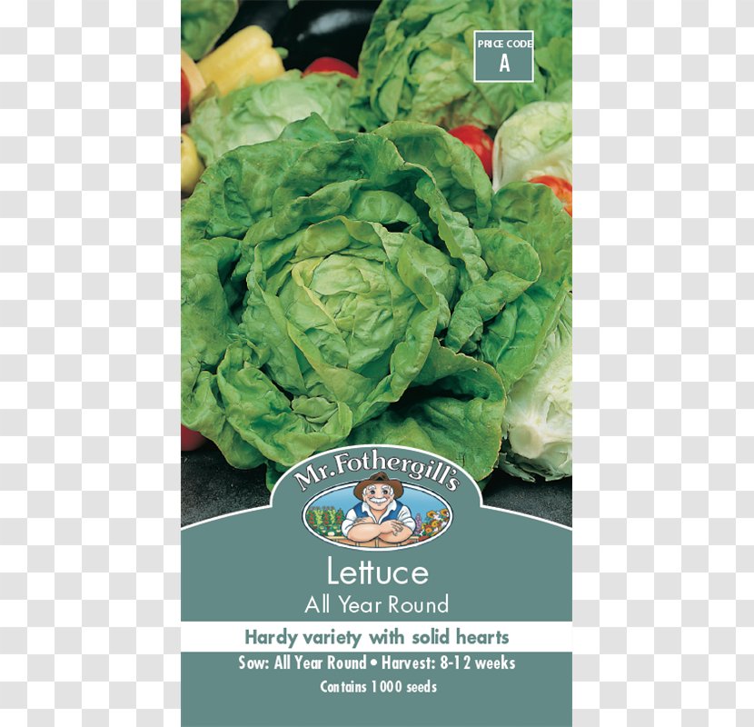 Romaine Lettuce Cruciferous Vegetables Spring Greens - Seed - Vegetable Transparent PNG