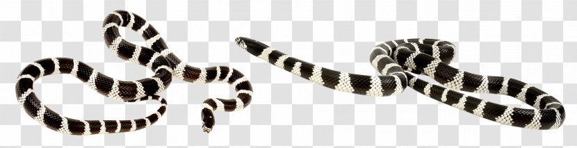 Reptile California Kingsnake Vipers - Animal - The Coral Snake Crawling Transparent PNG