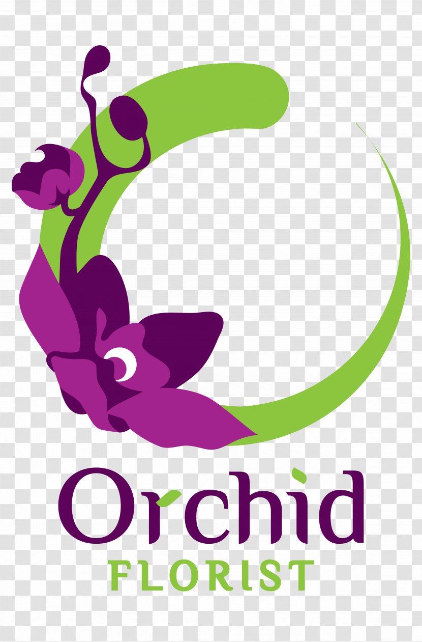Flower Moth Orchids Dancing-lady Orchid Floristry Store Transparent PNG