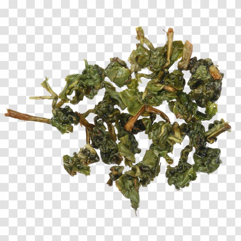 Tieguanyin Leaf Vegetable - Ding Transparent PNG